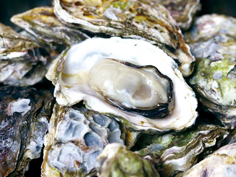 海辺の鮮魚店がパワーアップして帰ってきた！