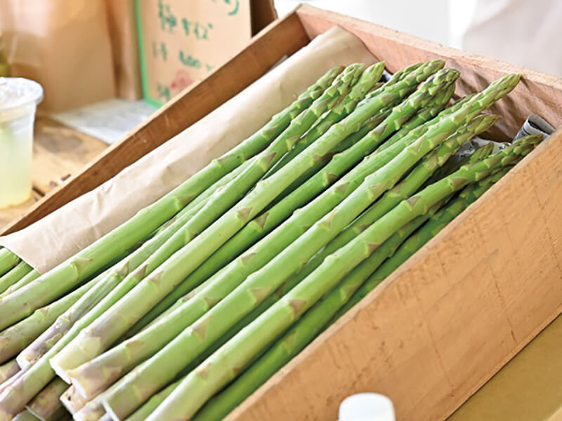 終了しました。4月23日（日）アスパラ大騒ぎありが10!!