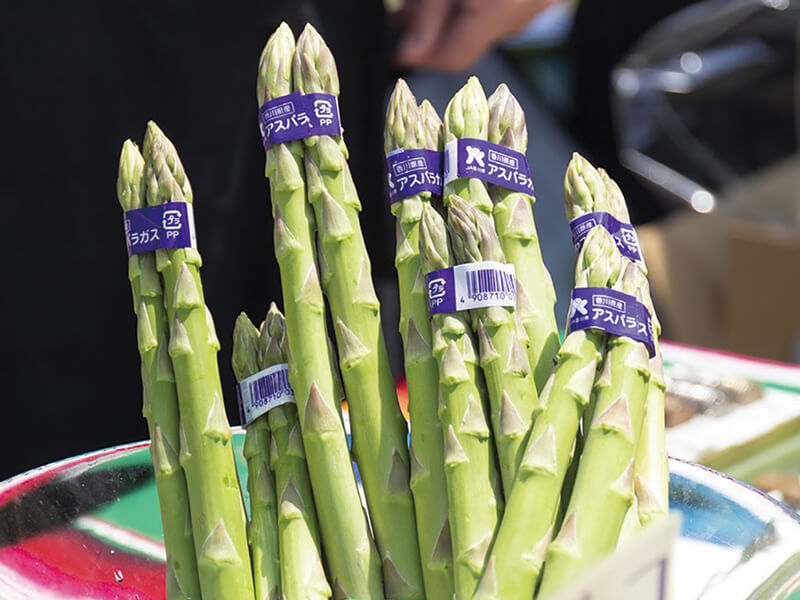 終了しました。4月23日（日）アスパラ大騒ぎありが10!!