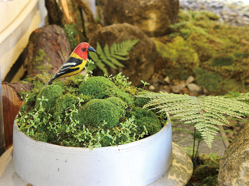 『麦縄の里』のスイーツShopがリニューアル!イートインスペースや限定スイーツが登場