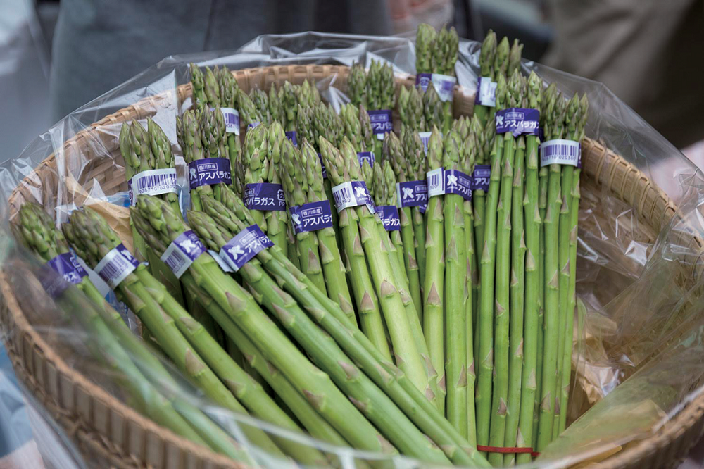 終了しました。4月21日（日）11:30～17:00県産アスパラガスの魅力に触れる 食べて･作って･参加して楽しめる アスパラ尽くしのイベント「アスパラ大騒ぎ2019」