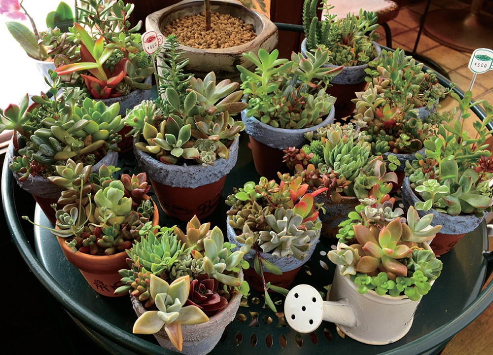 『Cafe terior Boston』日替わりわんぱくサンドが自慢！コーヒースタンドが美術館通りにOPEN