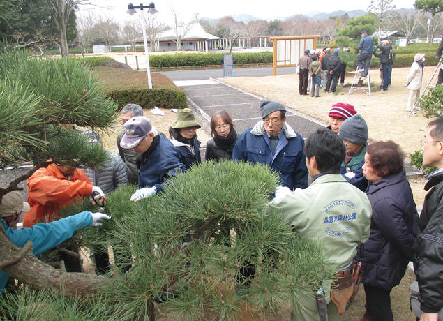 終了しました。1月20日（日）『剪定教室（松）とお庭の管理方法教室』