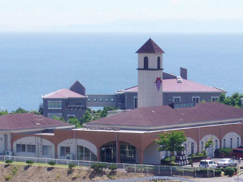 瀬戸内海を見渡す丘の上のワイナリー