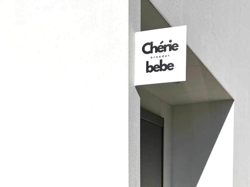 『Chérie bebe　シェリーベベ』ワンちゃんへの負担が少ないドッグホテル【香川県観音寺市大野原町】