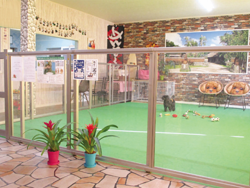 『犬と猫の美容室ちゅら』開放的で優しいサロン