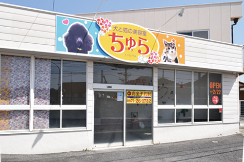 『犬と猫の美容室 ちゅら』室内ドッグランを併設したアットホームなペットサロン