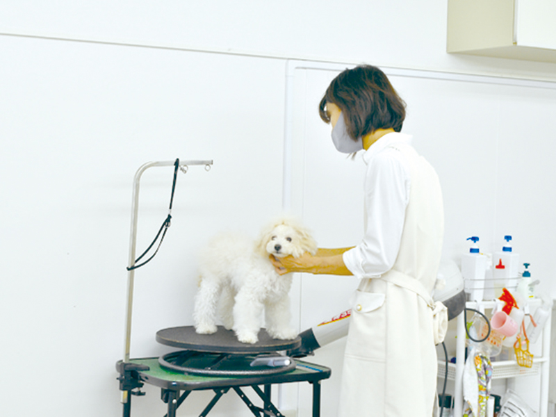 競技会受賞経験のあるA級トリマーによるペットサロン