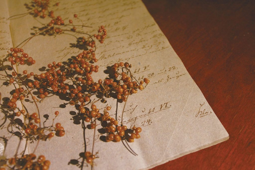 女性に優しい完全プライベートヘアサロン