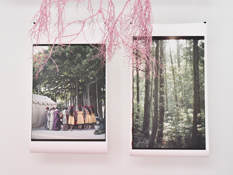 『waki season camera　ワキシーズンカメラ／花がたり･DANKE　ハナガタリ･ダンケ』日常や特別な日に彩りを与えてくれるフォトスタジオとフラワーショップが同居する新施設が誕生！【香川県高松市三谷町】