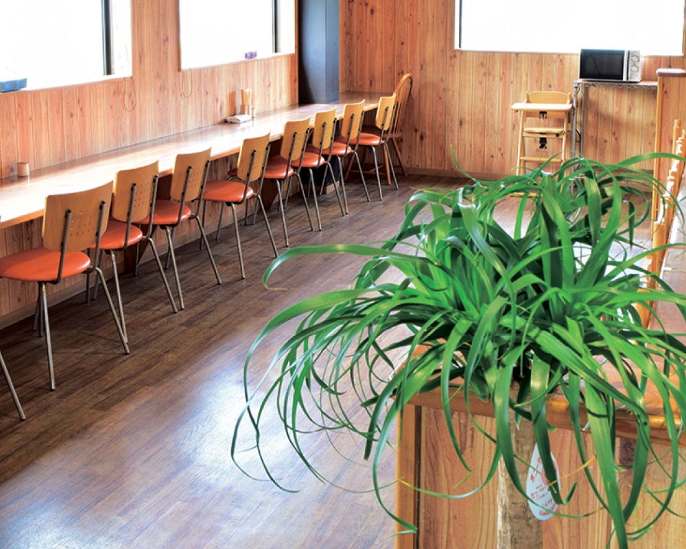 『うどん 心彩』女性店主が迎えるうどん屋さんが三野町にOPEN！