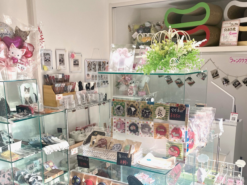 猫雑貨&爪とぎのお店がOPEN