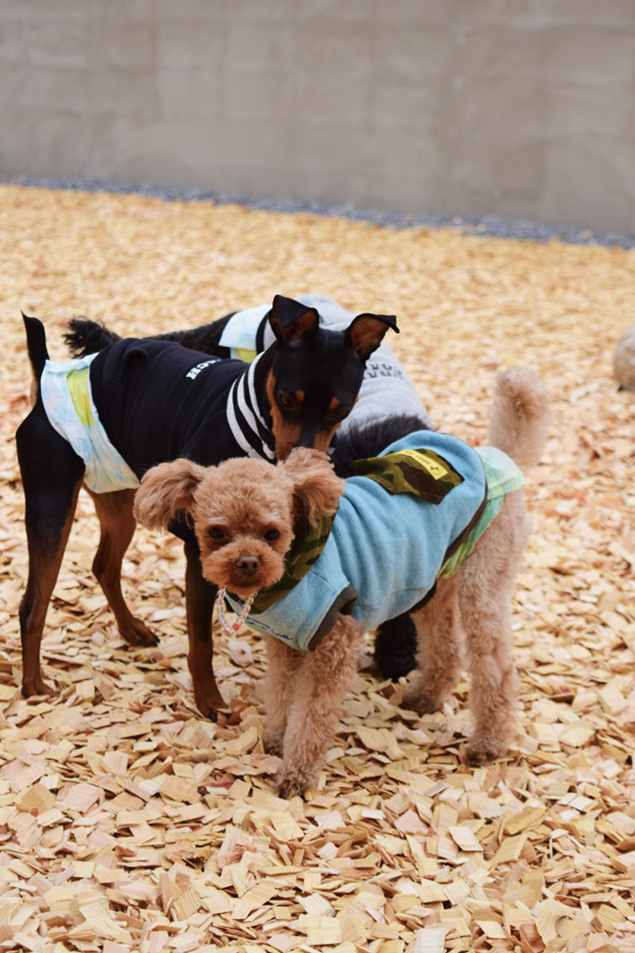 『Delight　ディライト』　愛犬と飼い主に優しいテーマパークが宇多津に誕生！