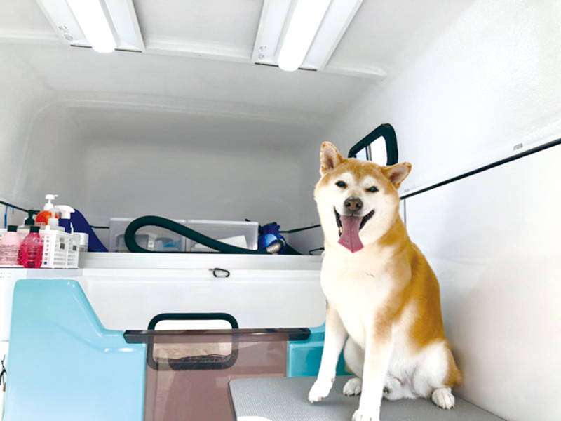 自宅に来てくれる愛犬のためのシャンプ専用カー