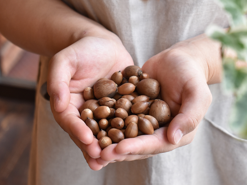 『道具屋 どんぐり』階段を上がった先の隠れ家Shop“どんぐり”をテーマにした雑貨やお菓子が大集合！【香川県高松市鍛冶屋町】