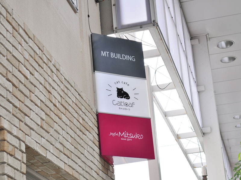 猫と人のご縁を繋ぐ保護猫カフェがOPEN！