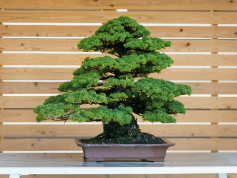 せとのかけはし号 ③未来の伝統工芸