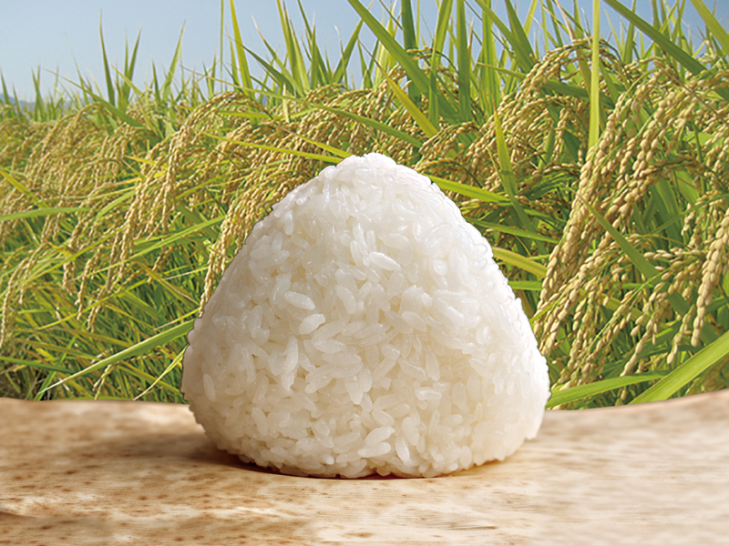 クイズに答えて「おいでまい」を貰いまい!