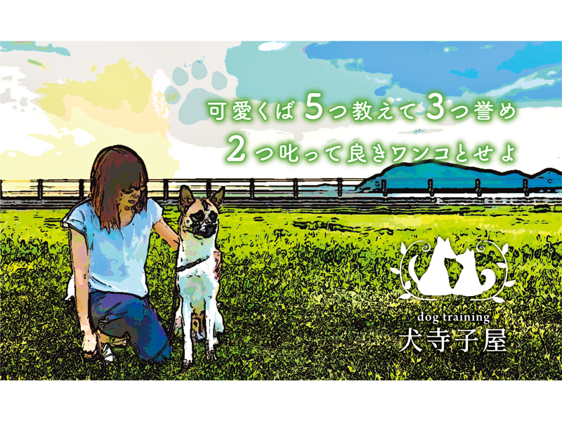 可愛くば５つ教えて３つ誉め２つ叱って良きワンコとせよ