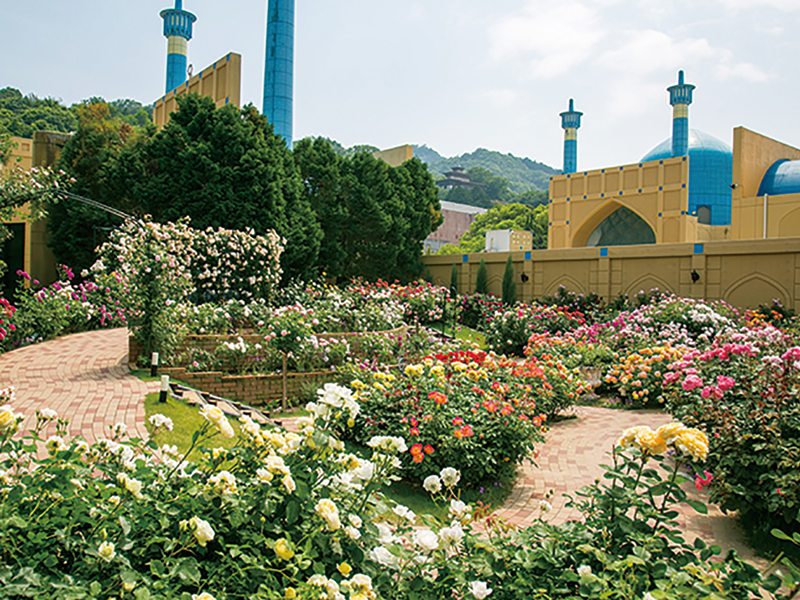 おうちで楽しむ『レオマリゾート』乗り物体験やバラ園を散策しよう