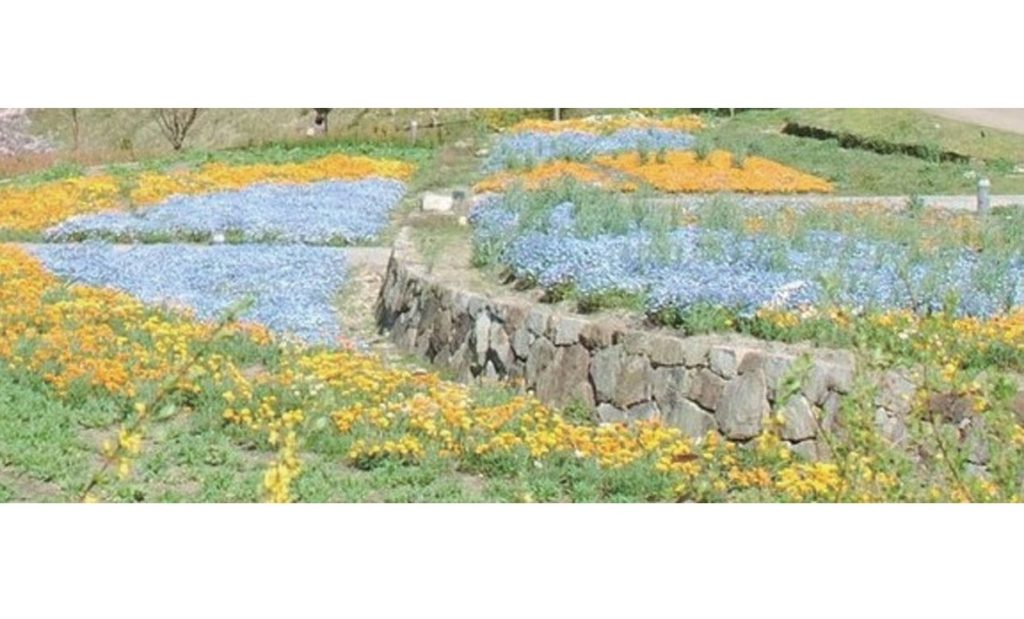 終了しました。5月18日（土）、19日（日）『善通寺フラワー＆ガーデンフラワー2019』ー小さな子どもから大人まで楽しめる美しい花や庭に癒されるイベントに注目！！