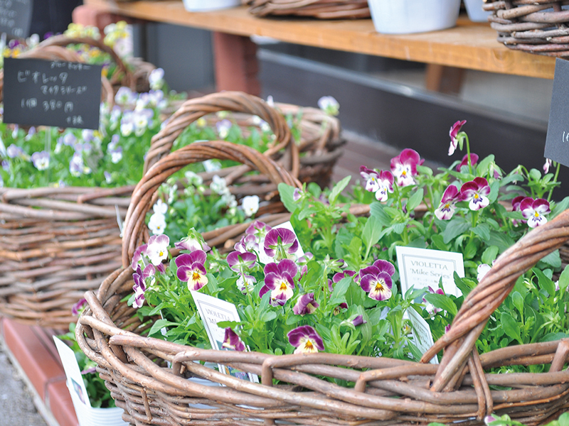 ふらりと気軽に立ち寄りたい日常に寄り添うおしゃれなお花屋さん