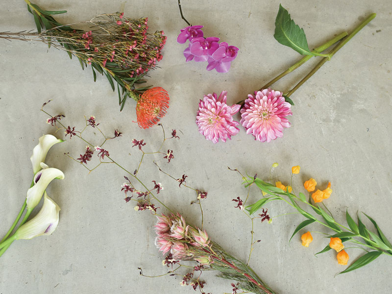 洗練されたおしゃれ空間に色や形がきれいな花々が並ぶShop