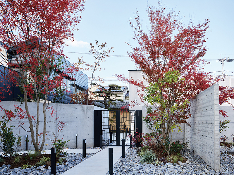 昼と夜で表情を変える隠れ家レストランで本格フレンチを楽しむ特別なひと時を