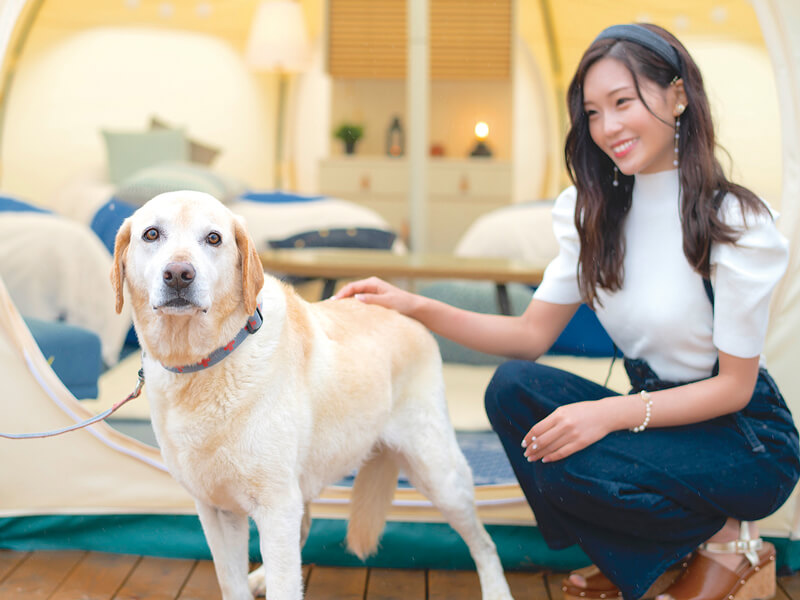 瀬戸内の自然を五感で楽しむプレミアムなステイをここで