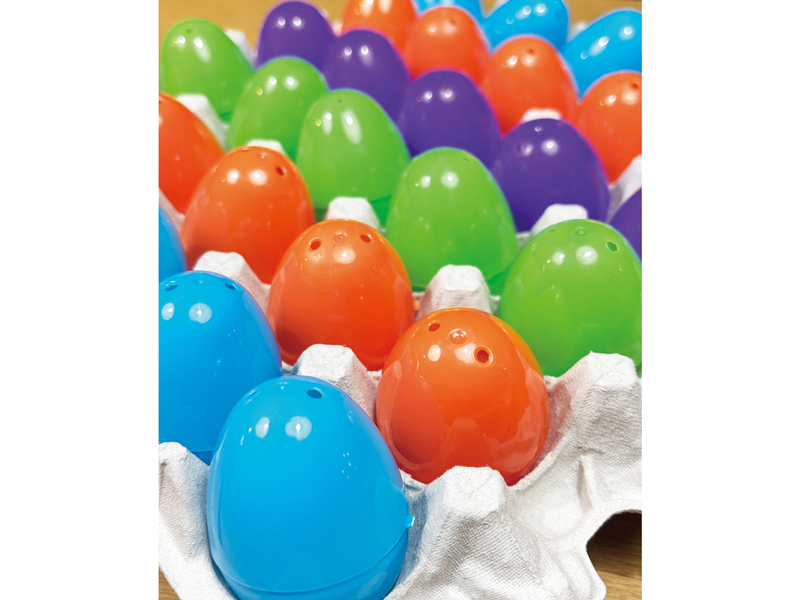 終了しました。　〜2025年3月2日（日）MEMORY DINOSAUR【香川県高松市常磐町】