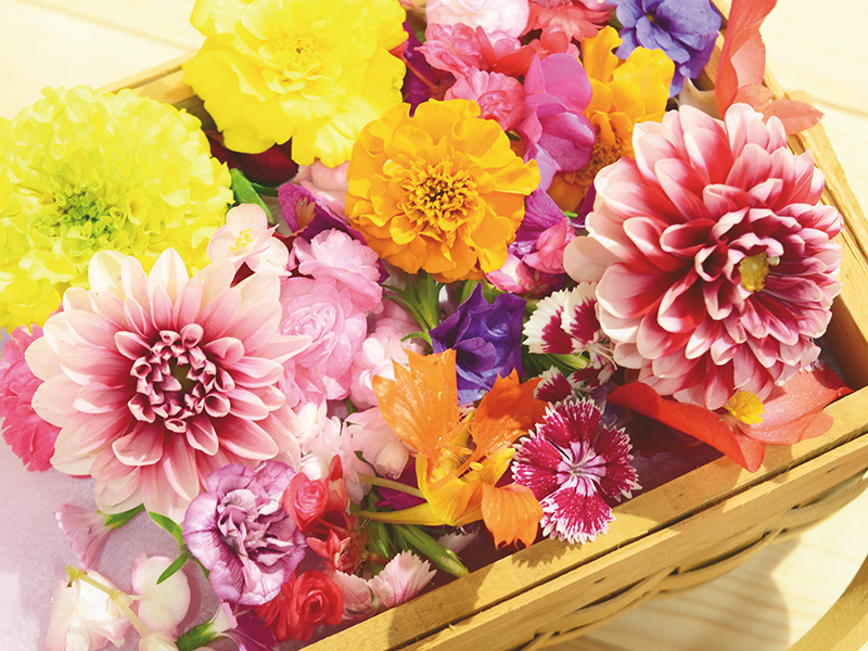 エディブルフラワーの販売やシェアアトリエを併設するShop