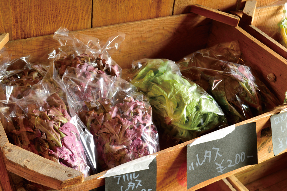 『百姓ミラクル』多彩なカルチャーがクロスする食や生活の中の喜びを届けるお店