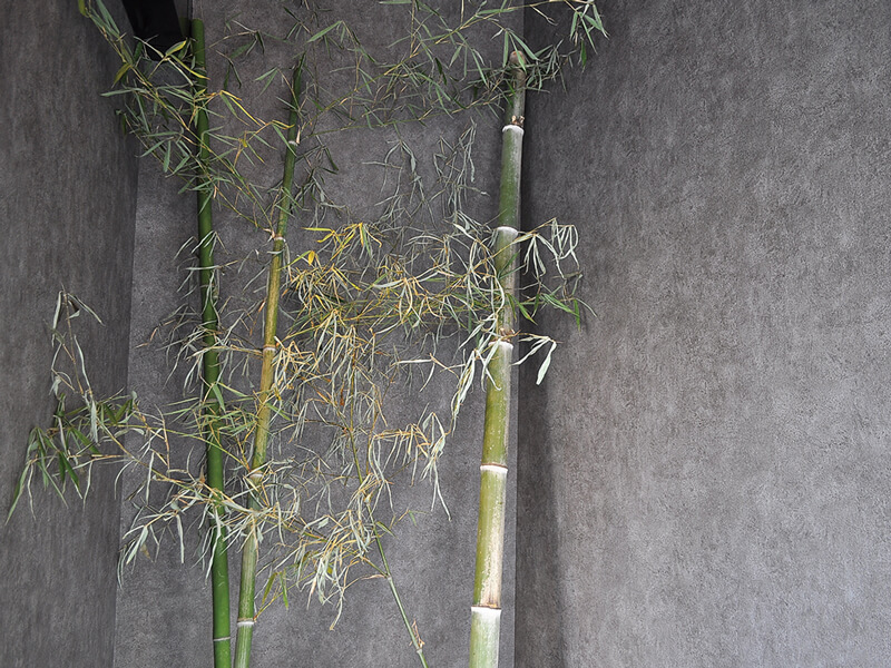 中･四国初上陸の『21時にアイス』で写真映え必至の夜アイスを味わおう!