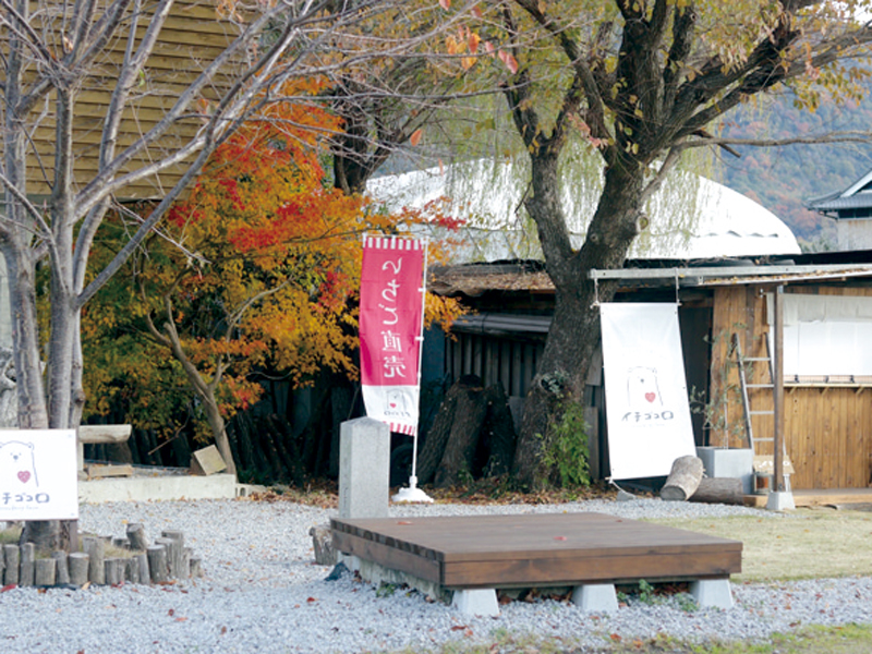 『イチゴコロ』まんのう町で朝採れ完熟のいちごの直売所がOPEN！【香川県仲多度郡まんのう町】