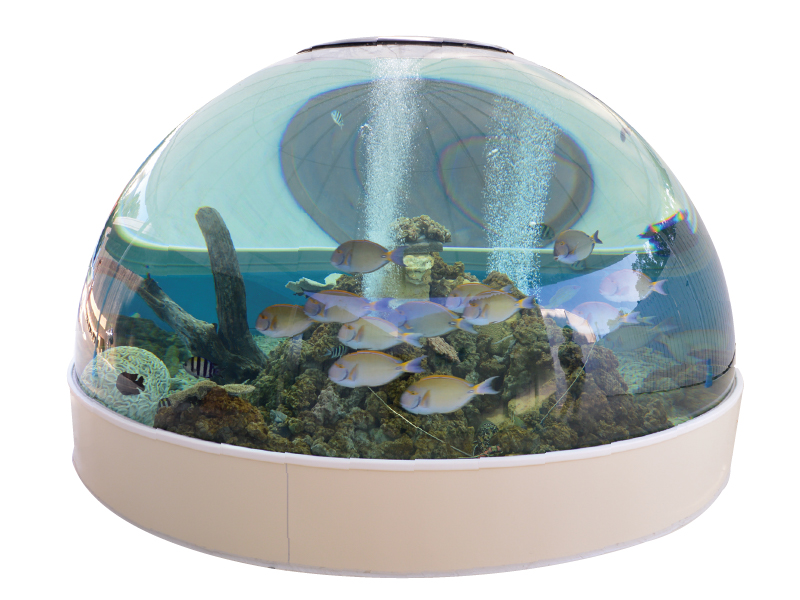 『新屋島水族館』新たな進化の幕開け！