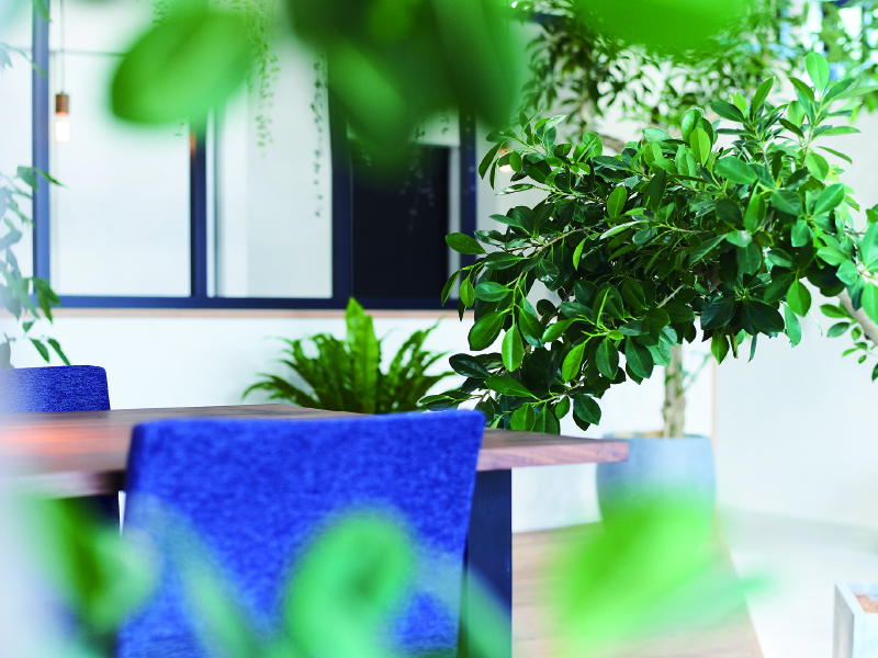 『Arte Design Garden』建物との統一感が叶うガーデンエクステリア