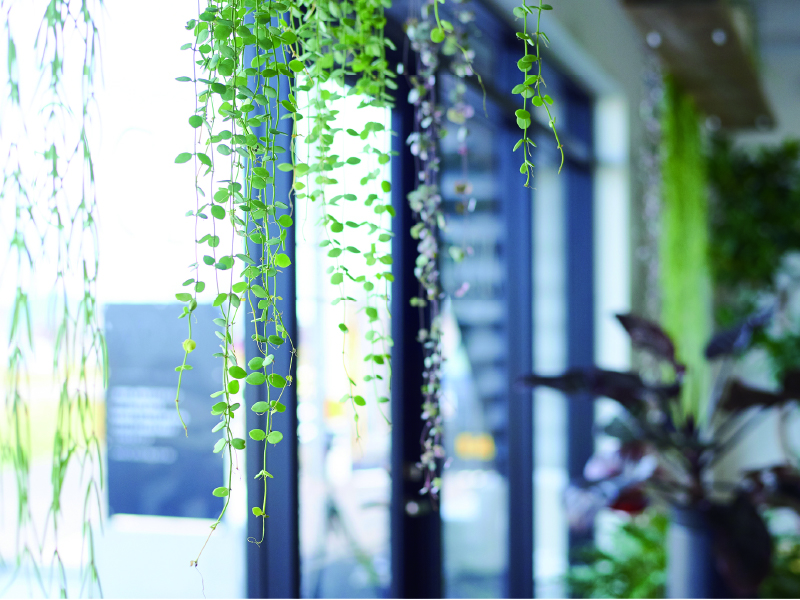 『Arte Design Garden』建物との統一感が叶うガーデンエクステリア