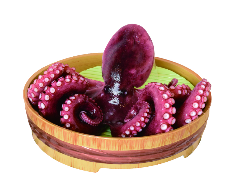 『Cumi Umi』新鮮な美味しさを堪能できるアンテナショップ