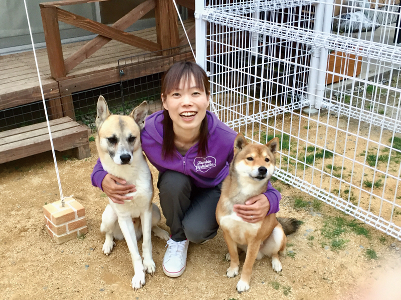 可愛くば５つ教えて３つ誉め２つ叱って良きワンコとせよ