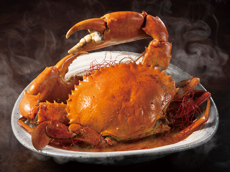 ノスタルジーとテクノロジーが融合した新しい都市型観光ホテルが誕生!