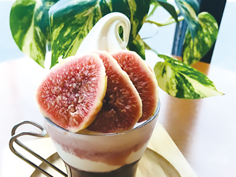 オシャレで可愛い海外輸入雑貨をセレクト