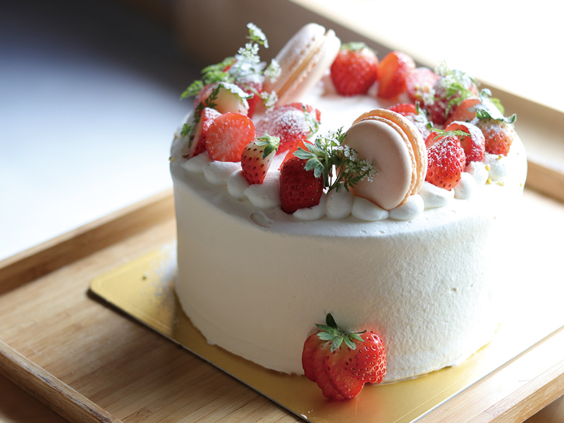 『こぐま菓子店』季節の味わいと身体に優しいスイーツで食べる人を笑顔にする洋菓子店【香川県坂出市府中町】