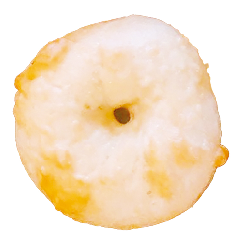 お子様連れでも気軽に立ち寄れる大人かわいい雑貨店がOPEN