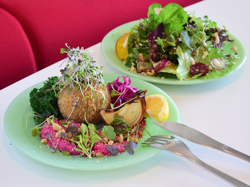 おしゃれに楽しく健康と環境に考慮したヴィーガン＆ベジタリアン専門店へ