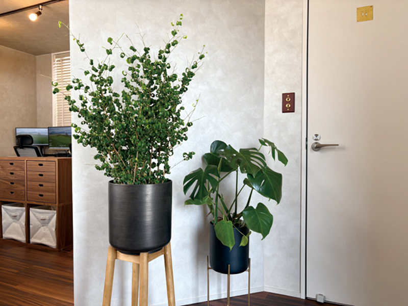 『LIFEWORK　ライフワーク』暮らしのトータルプロデュースを行う設計事務所【香川県高松市茜町】