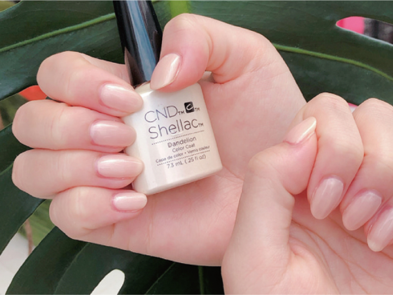 10周年を記念して鍛冶屋町から塩上町に移転！『Total salon M-amere』