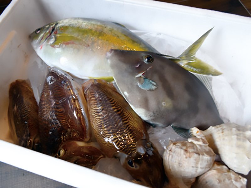 おしゃれな立ち飲みスタイルの居酒屋がOPEN！