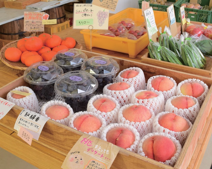 『南新町マルシェ』県産野菜ならお任せ！新鮮で安心安全な野菜を販売