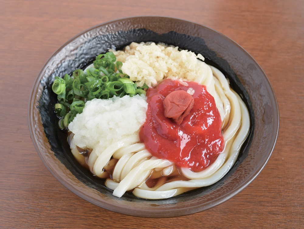 『釜出しさぬきうどん めん一』食欲をそそるたっぷりイリコの特製ダシ！絶対に食べるべき多度津の絶品うどん