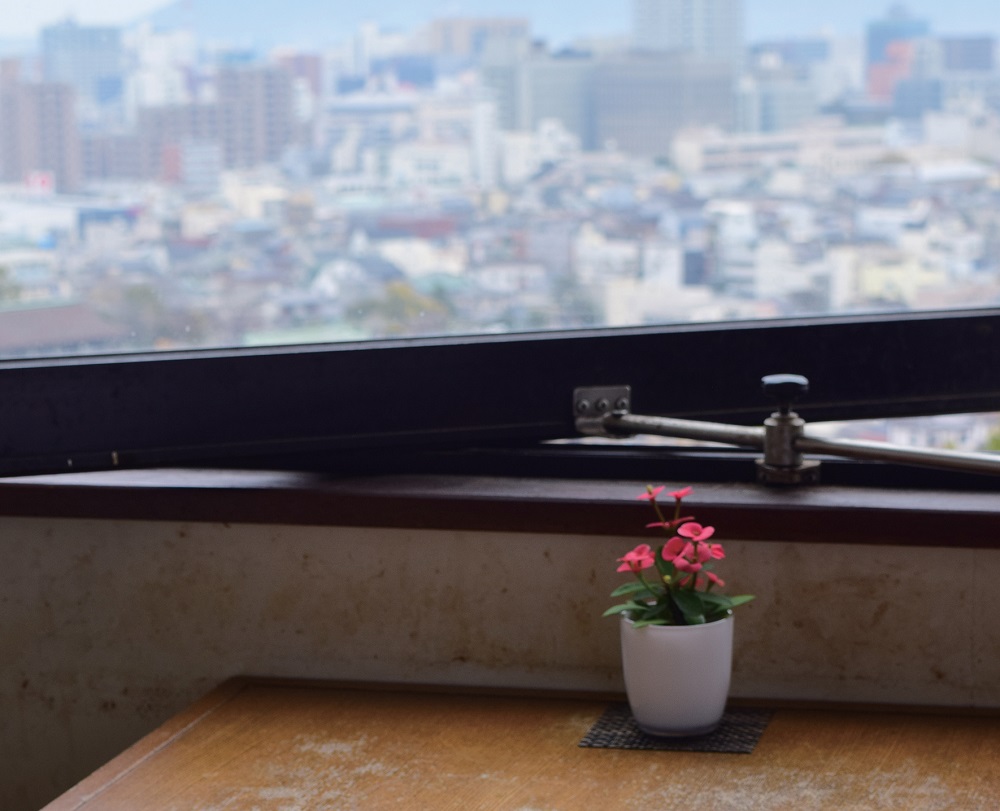 『讃州めんめ』うどんを食べながらというのが珍しい！瀬戸内海、屋島を見下ろす絶景うどん店